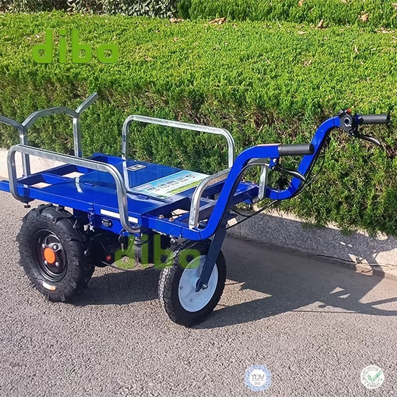 Heavy Load Electric Trolley Mo - Heavy Equipment Yard recensione e prezzo