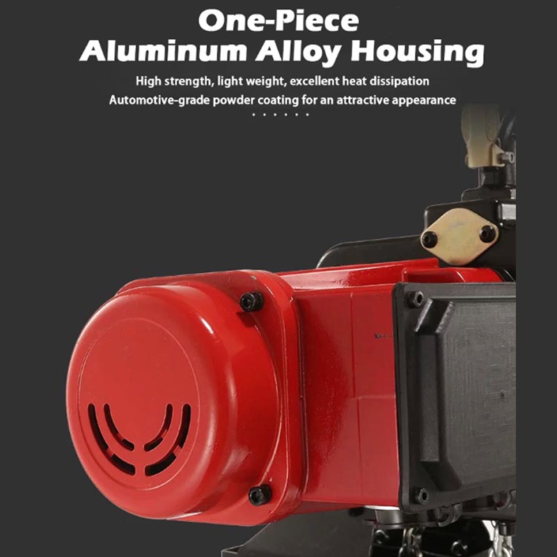 220V Electric Chain Hoist Adju - Electric Chain Hoist recensione e prezzo