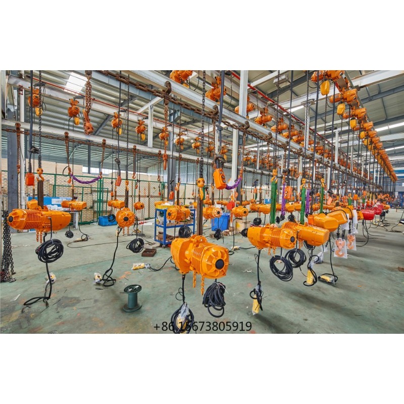 Wholesale Chinese Manufacture  - Electric Chain Hoist recensione e prezzo